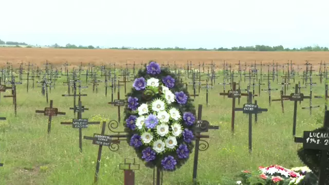 Reacția apărării familiei Pașca: „Nu erau neglijați, s-a făcut tot ce s-a putut”. Ce spune avocatul despre milioanele de lei